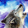 profile img