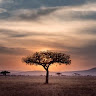 KZN 360