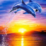 Utilizador: Irena Barčanac