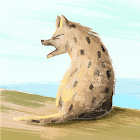 Bruger: Miguel Schoenardie