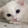 userThumbnail