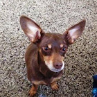 ผู้ใช้: Ronald Neusteadter