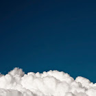 Gebruiker: Mona Bedin