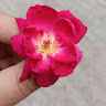 Seller avatar