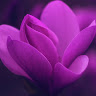 Created by