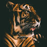 author-avatar