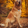 Edward author photo 