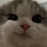 dark_purple1984's Avatar