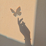 dreamer
