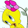 user-image