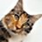 Χρήστης: 박학수