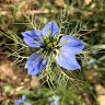 Photo du rédacteur: Florie Sibourd