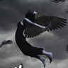 Writer: Arianna Courson
