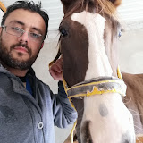 محمد فايزMahmed Faiz