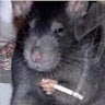 lammer066463's Avatar