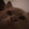 Mr. Ben