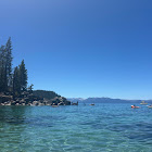 Utente: JuliaJade Honsinger