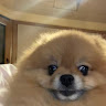 5 17