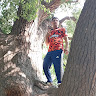 SM Shahbaz