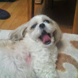 Người dùng: 川路民夫