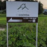 執筆者の写真: 和巳 大澤