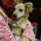 Bruger: Артур Пономаренко