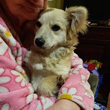 Артур Пономаренко