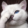 joanna14's Avatar