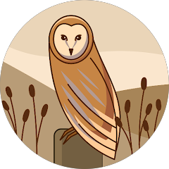 Bloxburg Extreme Builds Avatar