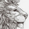 FWM82 profile