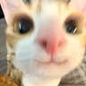 k.hsu_121
