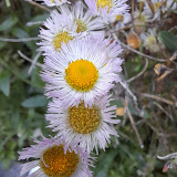 지피지기백전백승 (이또한지나가리)