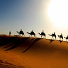 Writer: Moroccan Excursion