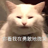 廖少禾 rex