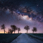 عضو: Quốc Triều