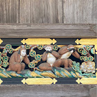 Utente: Pedro Shirakawa