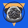 Space Pug