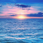 Người dùng: Minjae Kim