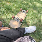 ผู้ใช้: Camila brisa Flores molina