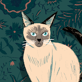 用戶: manuel ventura