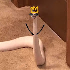 Kullanıcı: jhohana leonor Campos arco