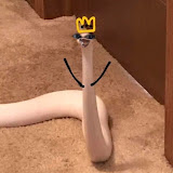 jhohana leonor Campos arco