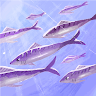 dhdhsm's Avatar