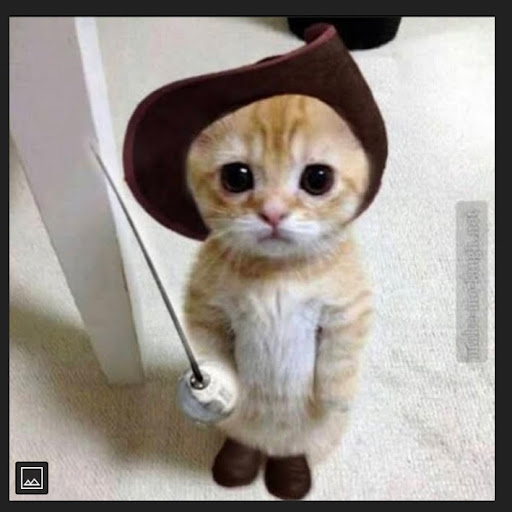 Ali Ali