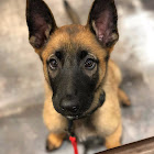 ผู้ใช้: Yassine Mekaoui