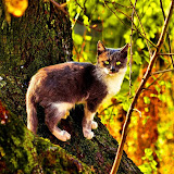 мир вокруг меня