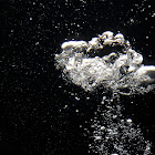 Người dùng: Giordano Micucci