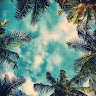 Created by