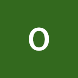 ольга быкова