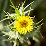 Erez Ben Dakon's photo